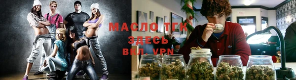 стаф Аркадак