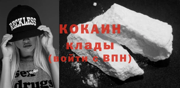 стаф Аркадак