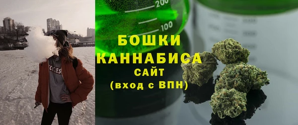 стаф Аркадак