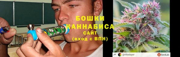 стаф Аркадак