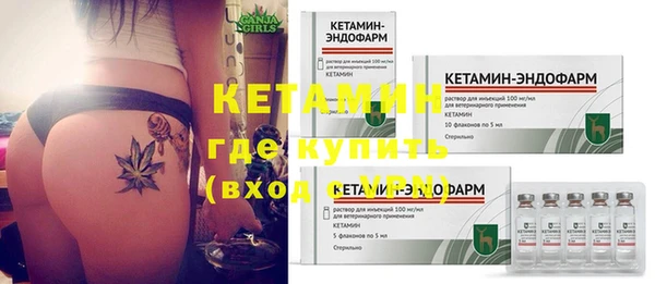 стаф Аркадак