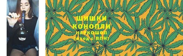стаф Аркадак