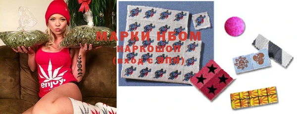 стаф Аркадак