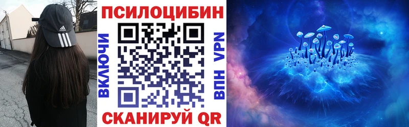 мориарти телеграм Сунжа Псилоцибиновые грибы ЛСД